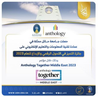 Excellence and Innovation Award in Digital Transformation2023